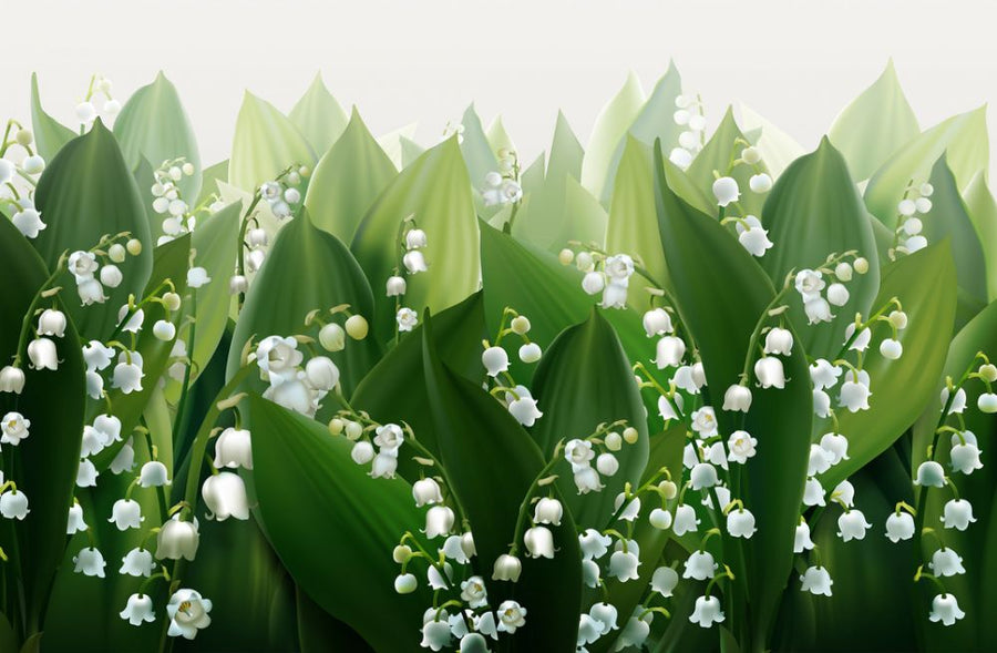 PHOTOWALL / Lily of the Valley (e317662)