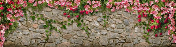 PHOTOWALL / Roses on Stonewall (e317687)