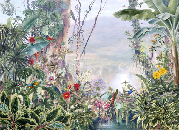 PHOTOWALL / Misty Tropical Jungle (e317699)
