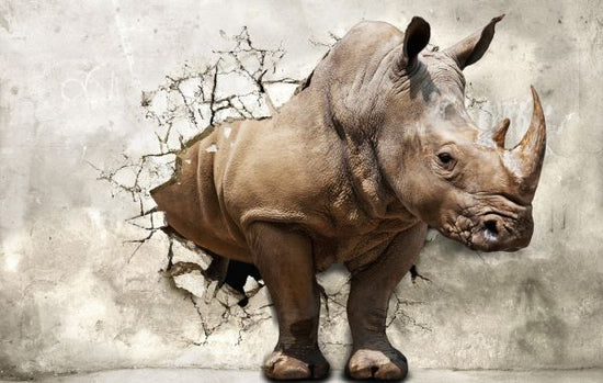 PHOTOWALL / Strong Rhinoceros (e317703)