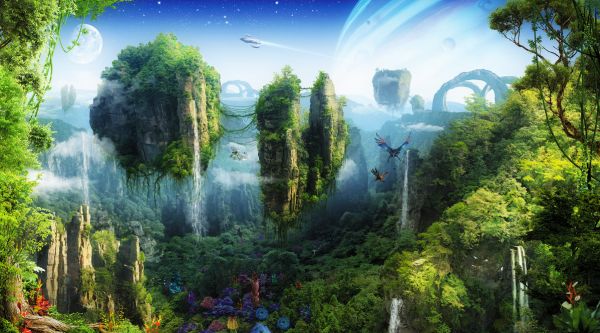 PHOTOWALL / Magic Tropical Forest (e317704)