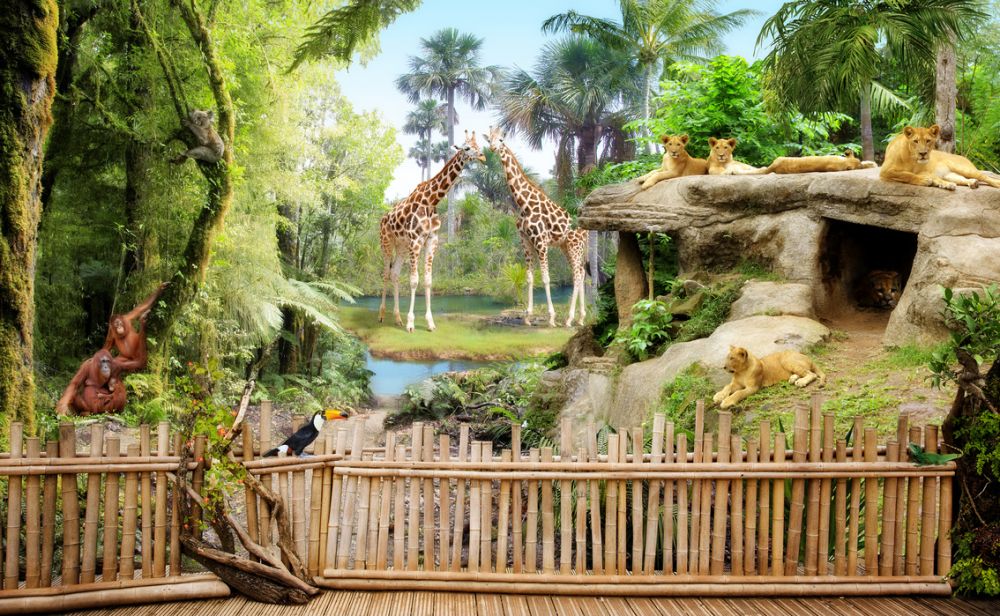 PHOTOWALL / Zoo Animals (e317735) | 輸入壁紙専門店 WALPA – WALPA.jp