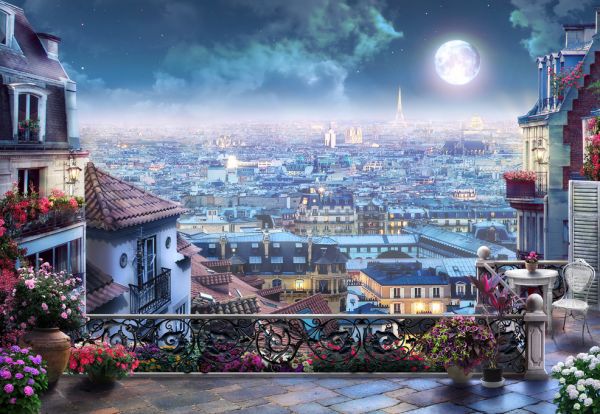 PHOTOWALL / Moonlight over Paris (e317736)