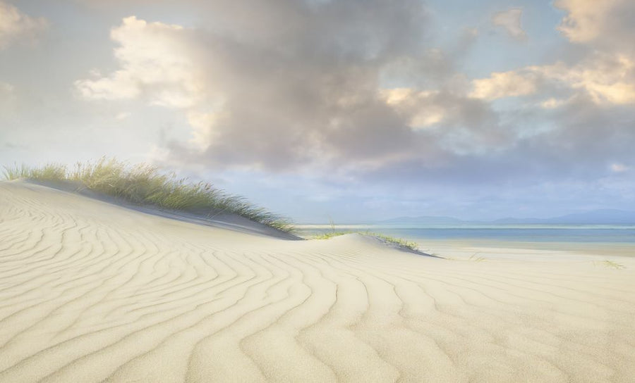 PHOTOWALL / Beach Dune Sand (e317991)