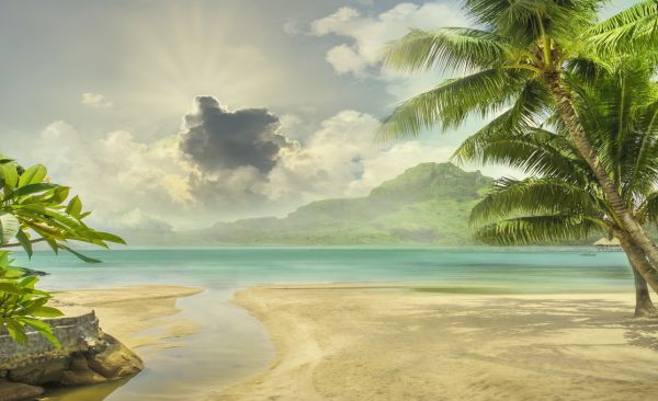 PHOTOWALL / Island Beach (e318014)