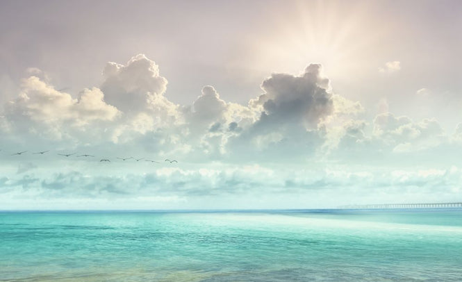 PHOTOWALL / Clouds over Sea (e318015)