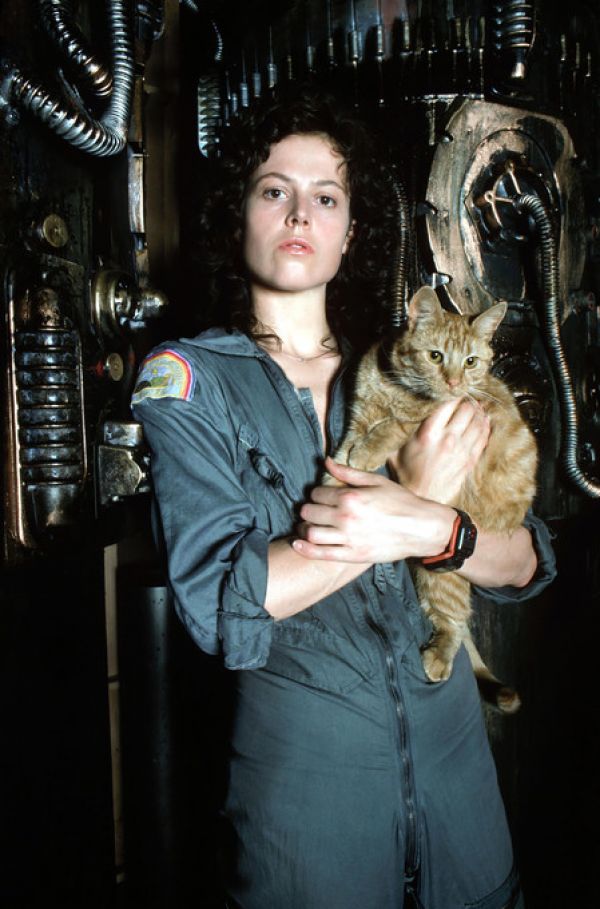 PHOTOWALL / Alien - Sigourney Weaver (e317087)