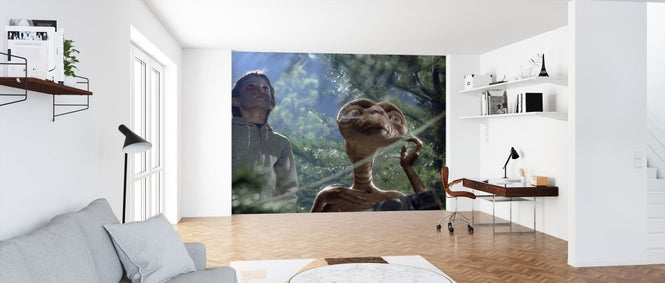 PHOTOWALL / Extra Terrestrial - Henry Thomas (e317091)