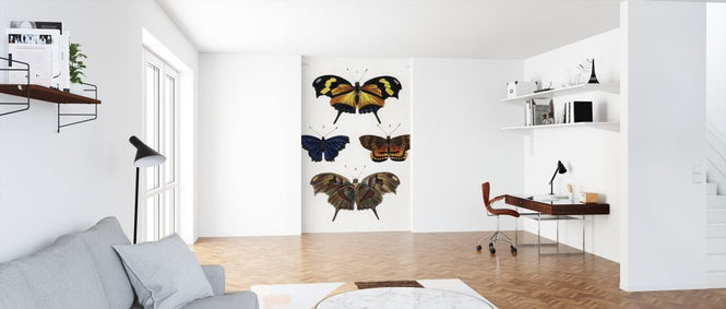 PHOTOWALL / Butterfly Illustration (e317115)
