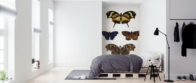 PHOTOWALL / Butterfly Illustration (e317115)
