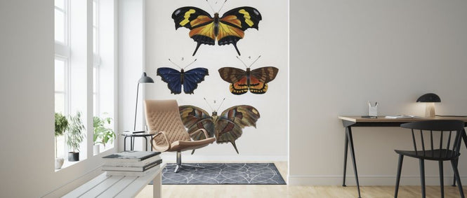PHOTOWALL / Butterfly Illustration (e317115)