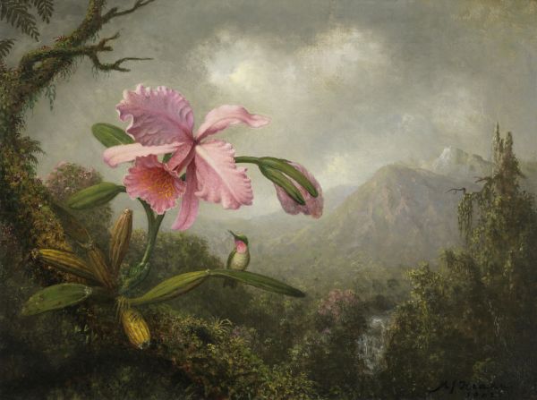 PHOTOWALL / Orchid and Hummingbird - Martin Johnson Heade (e317128)