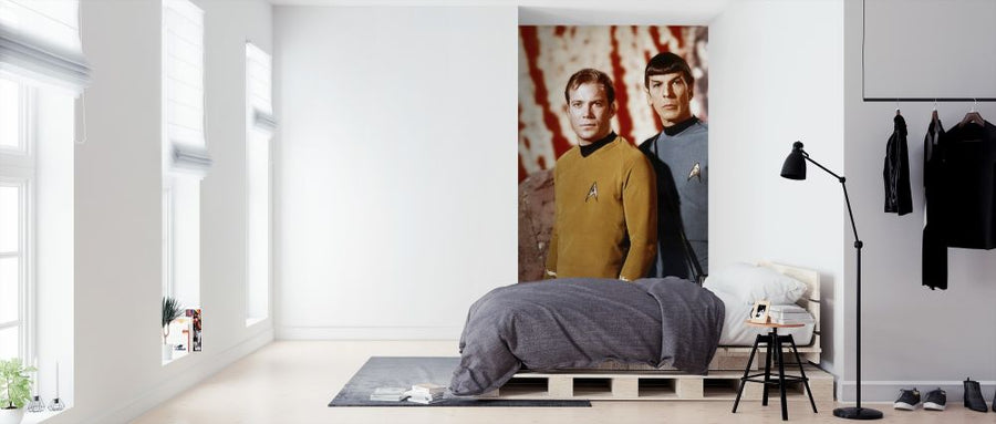 PHOTOWALL / Kirk and Spock - Leonard Nimoy and William Shatner (e317208)