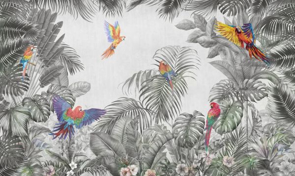PHOTOWALL / Playing Parrots (e318236)