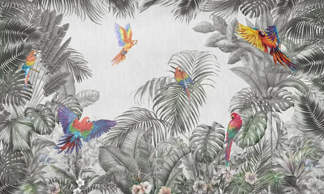 PHOTOWALL / Playing Parrots (e318236)