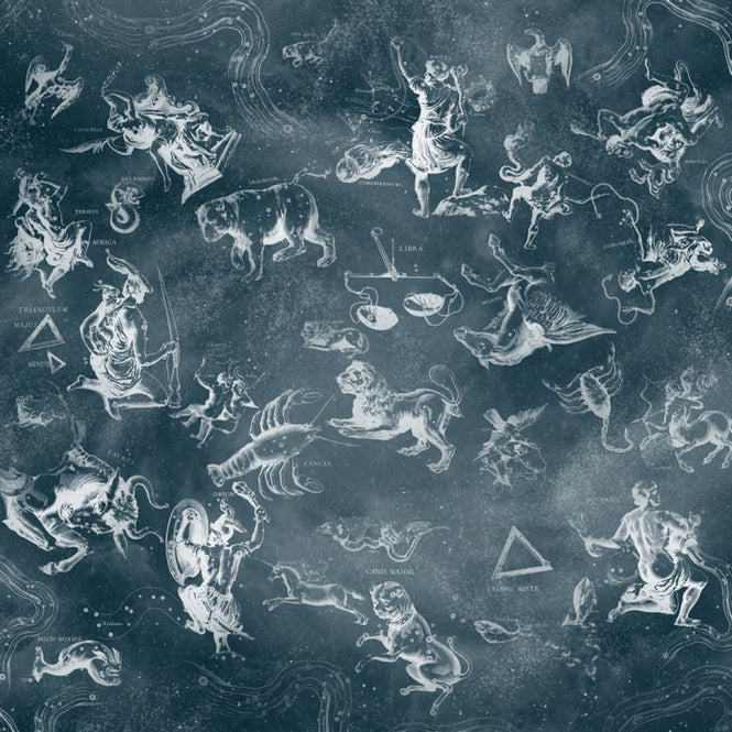 PHOTOWALL / Zodiac (e318253)