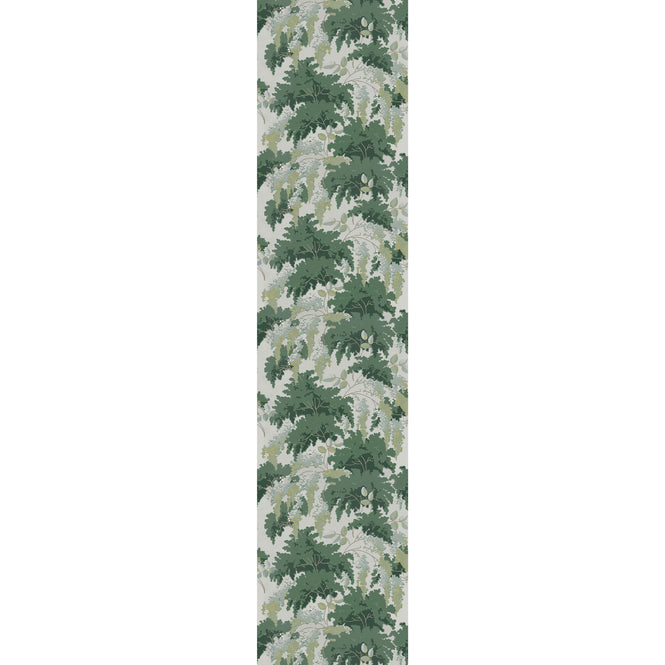 Isidore Leroy / NATURELS / FRONDAISONS Nature 6241702