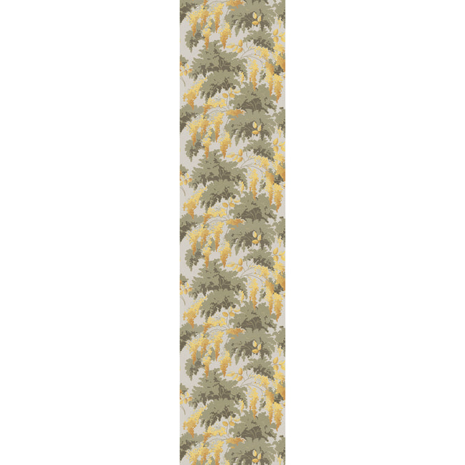 Isidore Leroy / NATURELS / FRONDAISONS Ensoleille 6241712