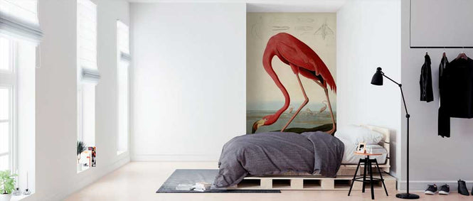 PHOTOWALL / American Flamingo - John James Audubon (e317356)