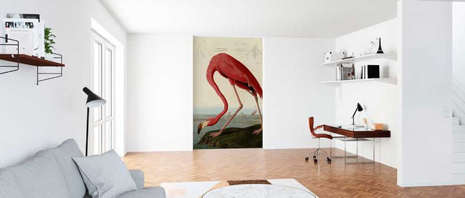 PHOTOWALL / American Flamingo - John James Audubon (e317356)