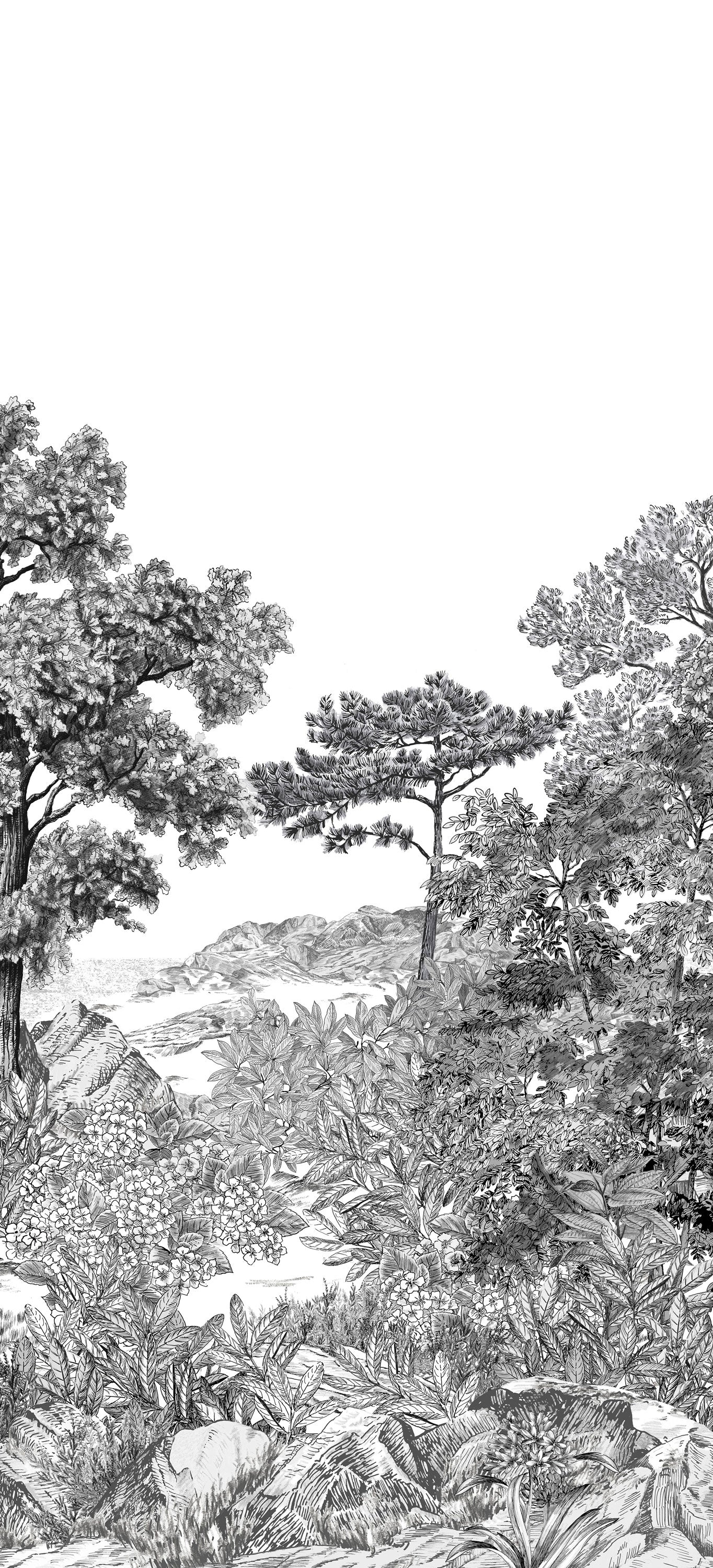 Isidore Leroy / Panoramiques 2020 / FORET DE BRETAGNE Grisaille B