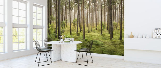 PHOTOWALL / In the Forest (e318424)