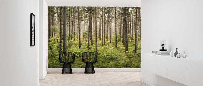 PHOTOWALL / In the Forest (e318424)