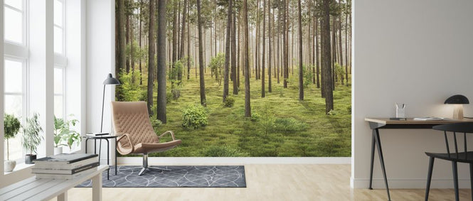 PHOTOWALL / In the Forest (e318424)