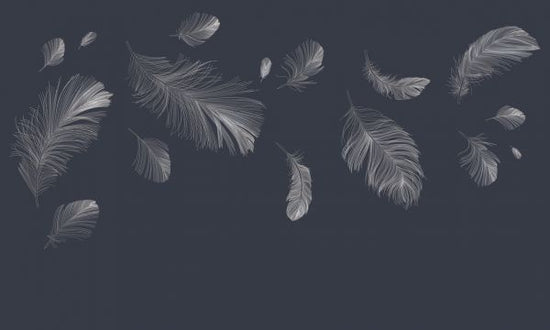 PHOTOWALL / Flying Feathers - Dark Blue (e318452)