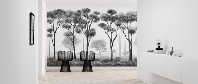 PHOTOWALL / Alberi Chiaroscuro (e318464)