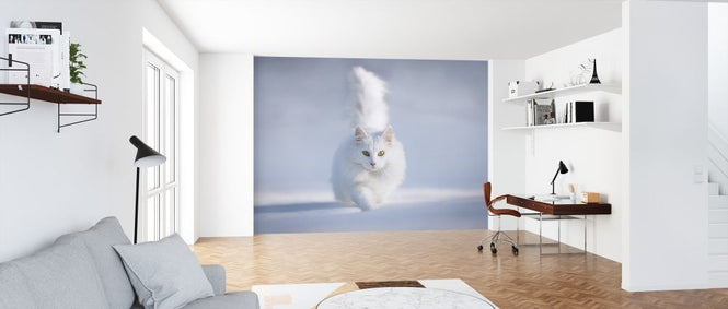 PHOTOWALL / Yellow Eyes (e317803)