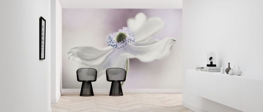 PHOTOWALL / Anemone Breeze (e317810)