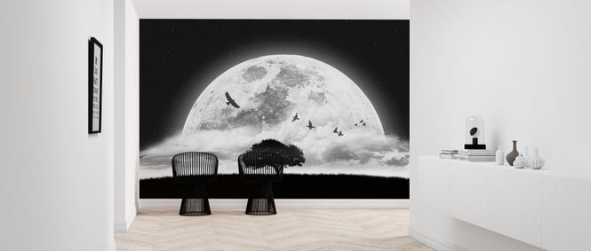 PHOTOWALL / Dream (e317821)