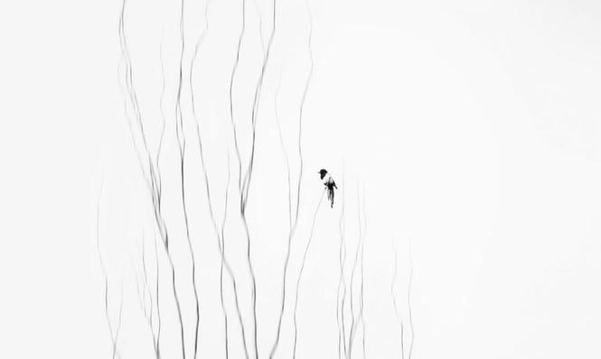 PHOTOWALL / Winter Moment (e317822)