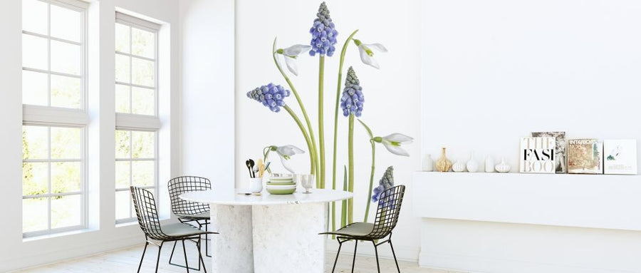 PHOTOWALL / Muscari and Galanthus (e317825)