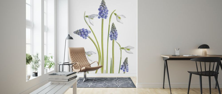 PHOTOWALL / Muscari and Galanthus (e317825)