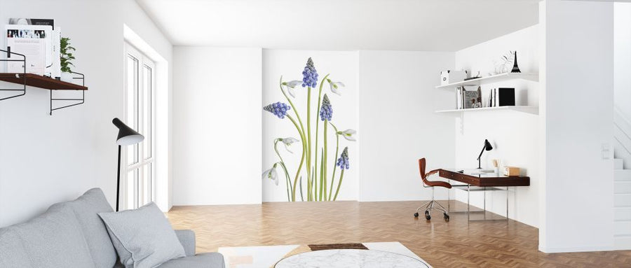 PHOTOWALL / Muscari and Galanthus (e317825)