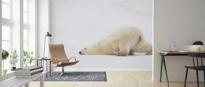 PHOTOWALL / Sliding Bear (e317835)