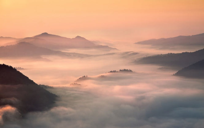 PHOTOWALL / Foggy Morning in the Mountains (e317608)
