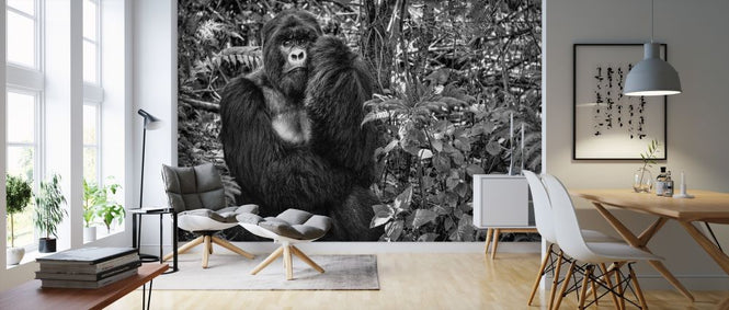 PHOTOWALL / Kwitonda Silverback (e317611)