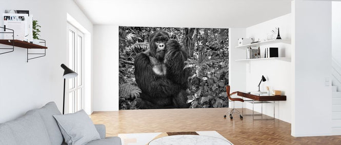 PHOTOWALL / Kwitonda Silverback (e317611)