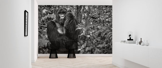 PHOTOWALL / Kwitonda Silverback (e317611)