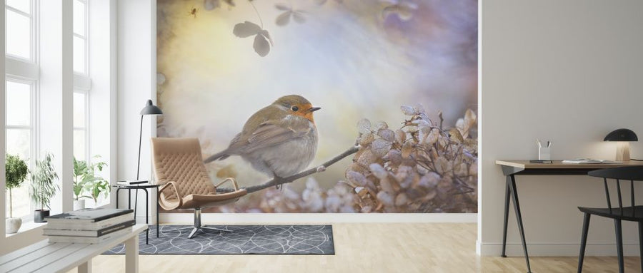 PHOTOWALL / Robin on Dreams (e317615)