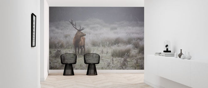 PHOTOWALL / Prideful Deer (e317617)