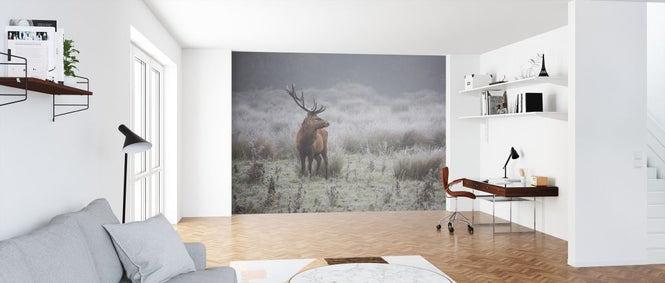 PHOTOWALL / Prideful Deer (e317617)