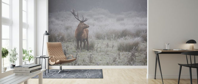 PHOTOWALL / Prideful Deer (e317617)