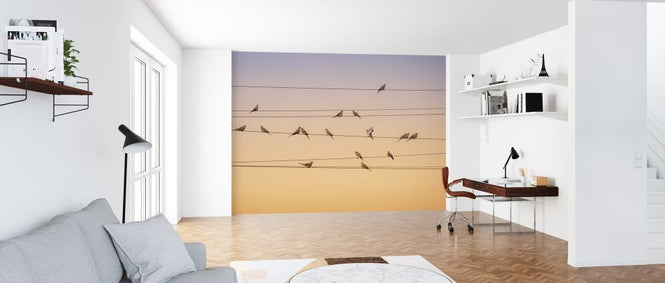 PHOTOWALL / Music of Light (e317618)