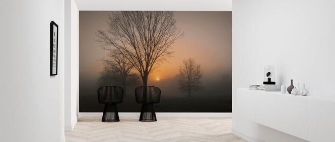 PHOTOWALL / Awakening (e317631)