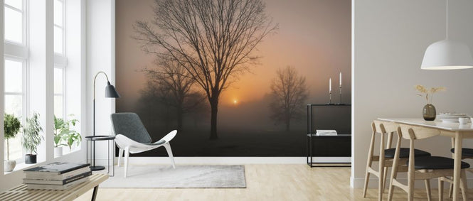 PHOTOWALL / Awakening (e317631)