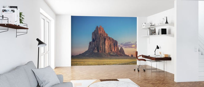 PHOTOWALL / Morning Glory on Tse Bit Ai (e317642)